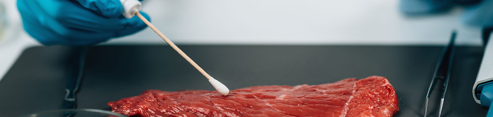 Meat Testing Meat Testing - Meat Analysis - Eurofins Canada